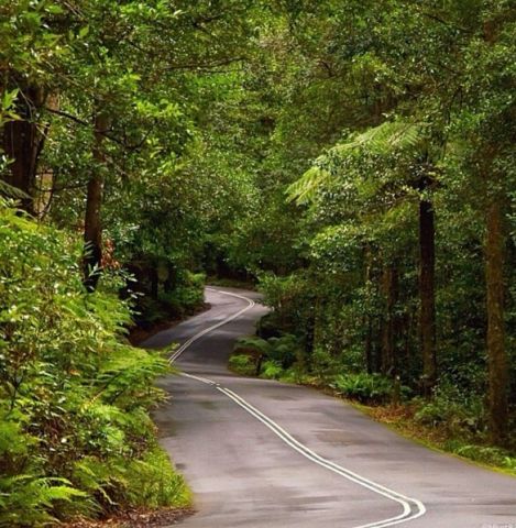 megalong Valley Road, Blue Mountains, NSW, Australia