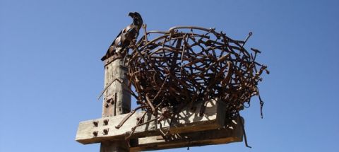 blackhall sculpture nest