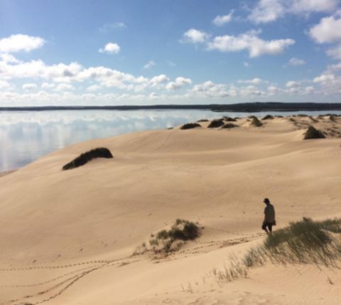 Coorong National Park