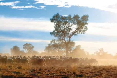 cunnamulla