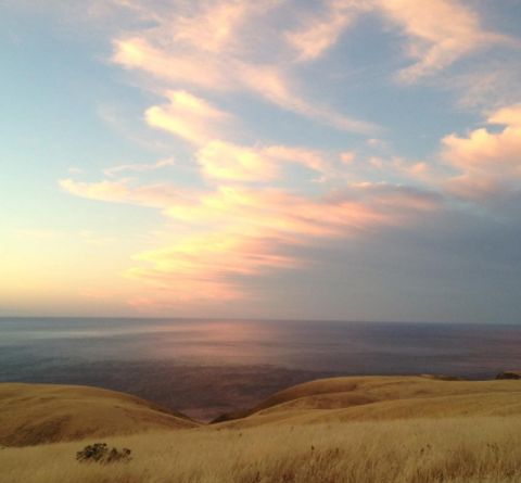 mclaren vale