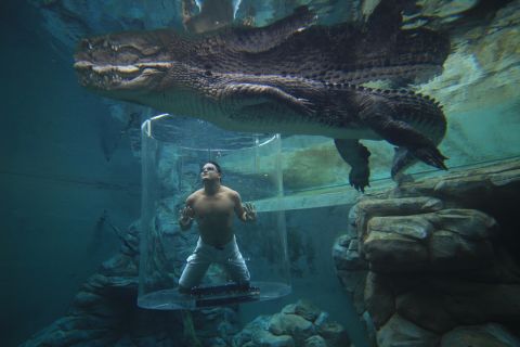 Crocosaurus Cove