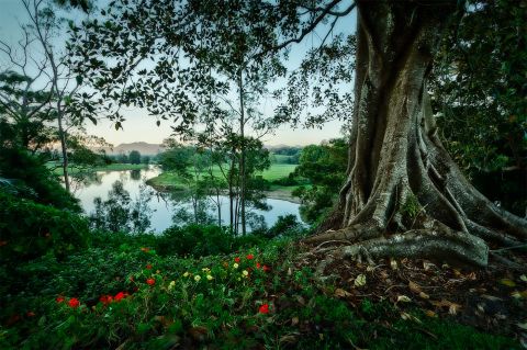 bellingen