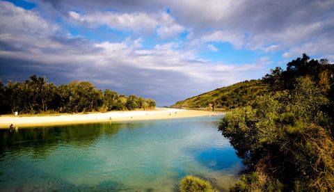 bongil bongil National Park