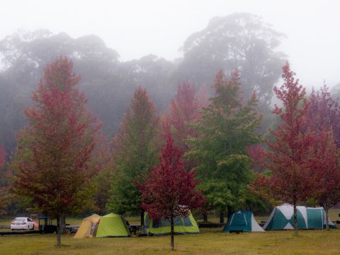 cathedralreserve travischau