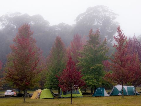 cathedral reserve camping area, Mount Wilson