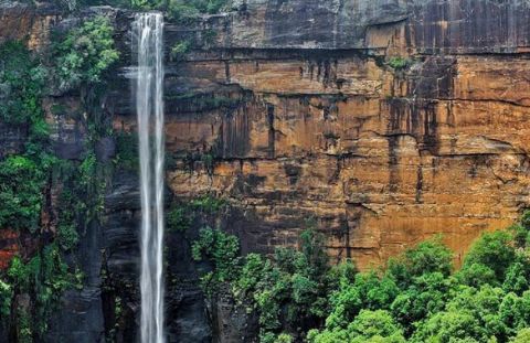 fitzroy falls aussie mate3