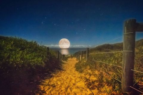 myall lakes national park