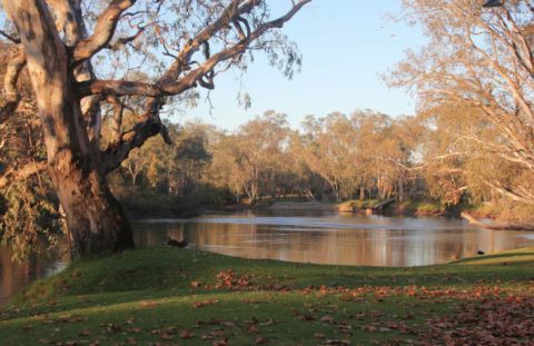 Murray River Albury Wodonga
