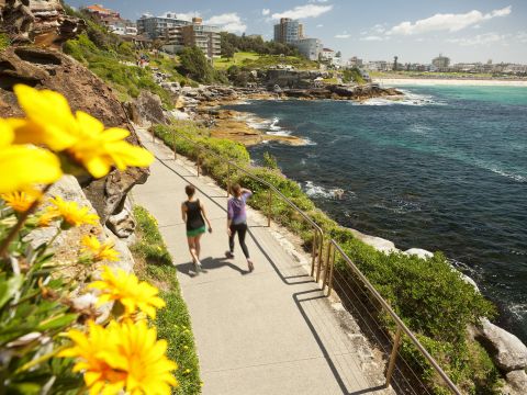 Bondi to Coogee Coastal Walk Sydney