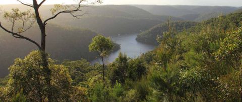 The Great North Walk Trail Hiking Australia