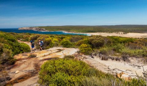  Royal National Park Coastal Track NSW National Parks