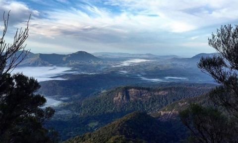 Mt Warning