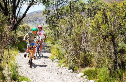 mountainbiking snowymountainsnsw