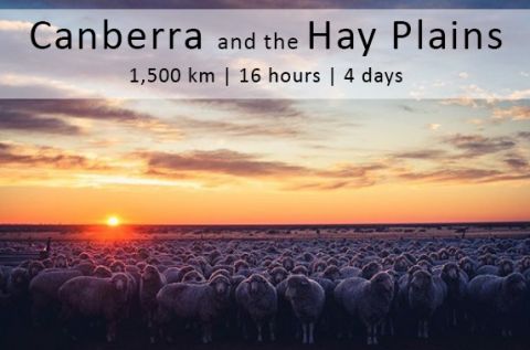 hay plains poster