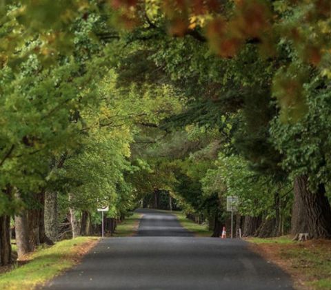 hill end nsw alextaylorphotography