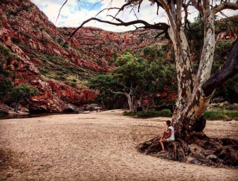 ormiston gorge 