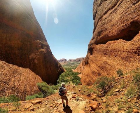 Kata Tjuta walks