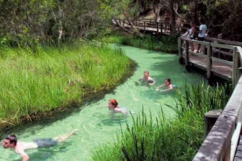 fraser island 