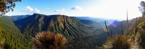 lamington national park oreillys