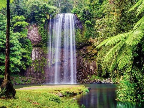 Millaa Millaa falls