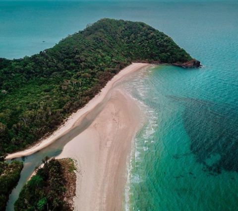 cape tribulation 