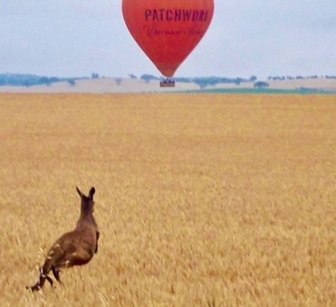 baross south australia