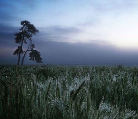 mount gambier 