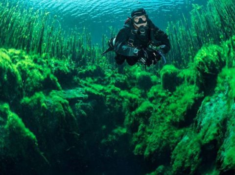 piccaninnie ponds 