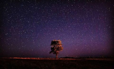 stars Mt Gambier