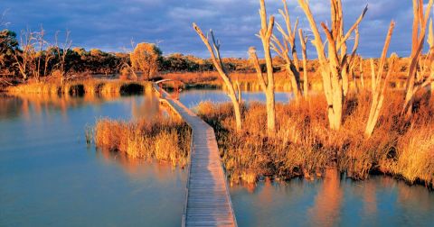 Banrock Station walks