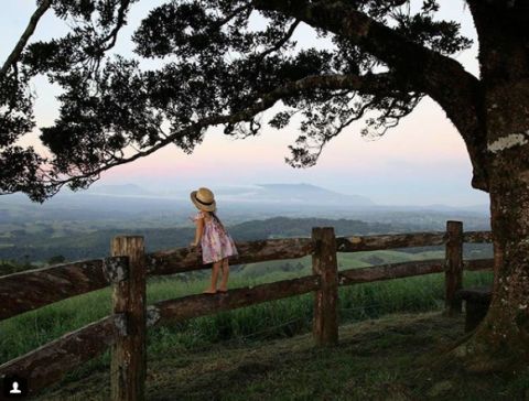  millaa millaa lookout