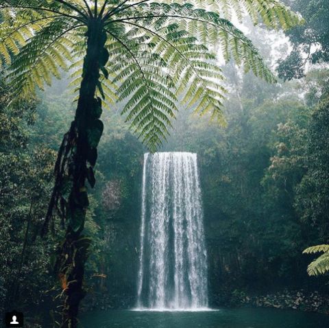 millaa millaa falls 