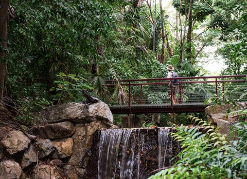 botanic gardens Darwin