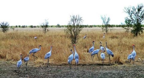 Mutton Hole Wetlands