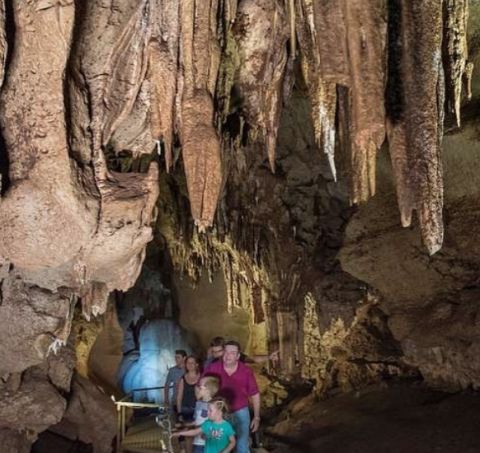 cutta cutta caves