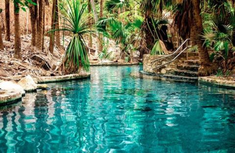 Mataranka Hot Springs