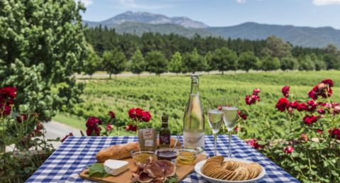 porepunkah feathertop winery