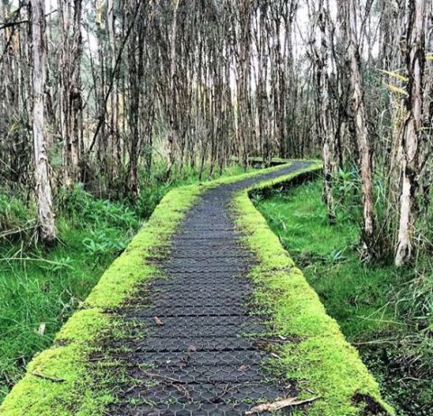 Balcombe Creek, mount martha 