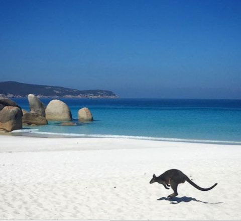 waterloo bay wilsons prom - east coast australia