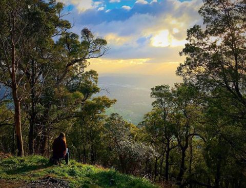 The Dandenong Ranges, Victoria, Australia. jiaxiangzheng