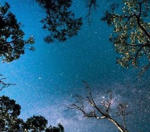 Starry night sky, The Grampians. siegelalison