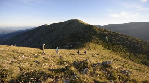 Alpine National Park Bright