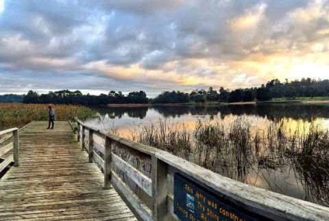 lilydale lake photo: itskrazzyy