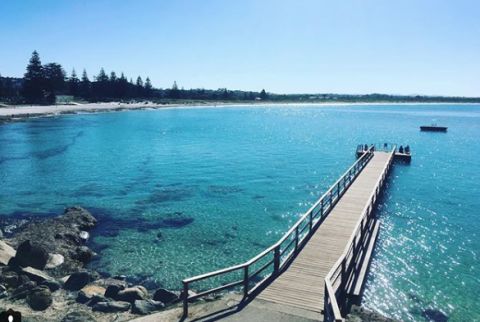 ellen cove, albany