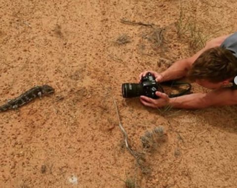 Lesueur National Park, Western Australia