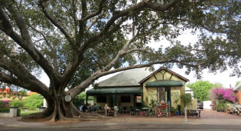 moreton bay cafe