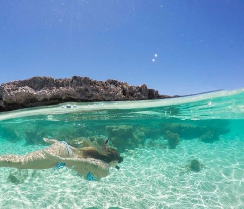 rottnest island perth