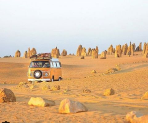 pinnacles Nambung