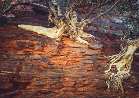 karijini National Park